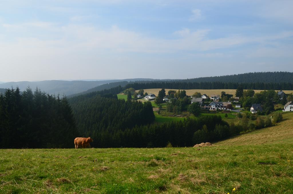 Berggasthof Zur Glocke Winterberg Kültér fotó